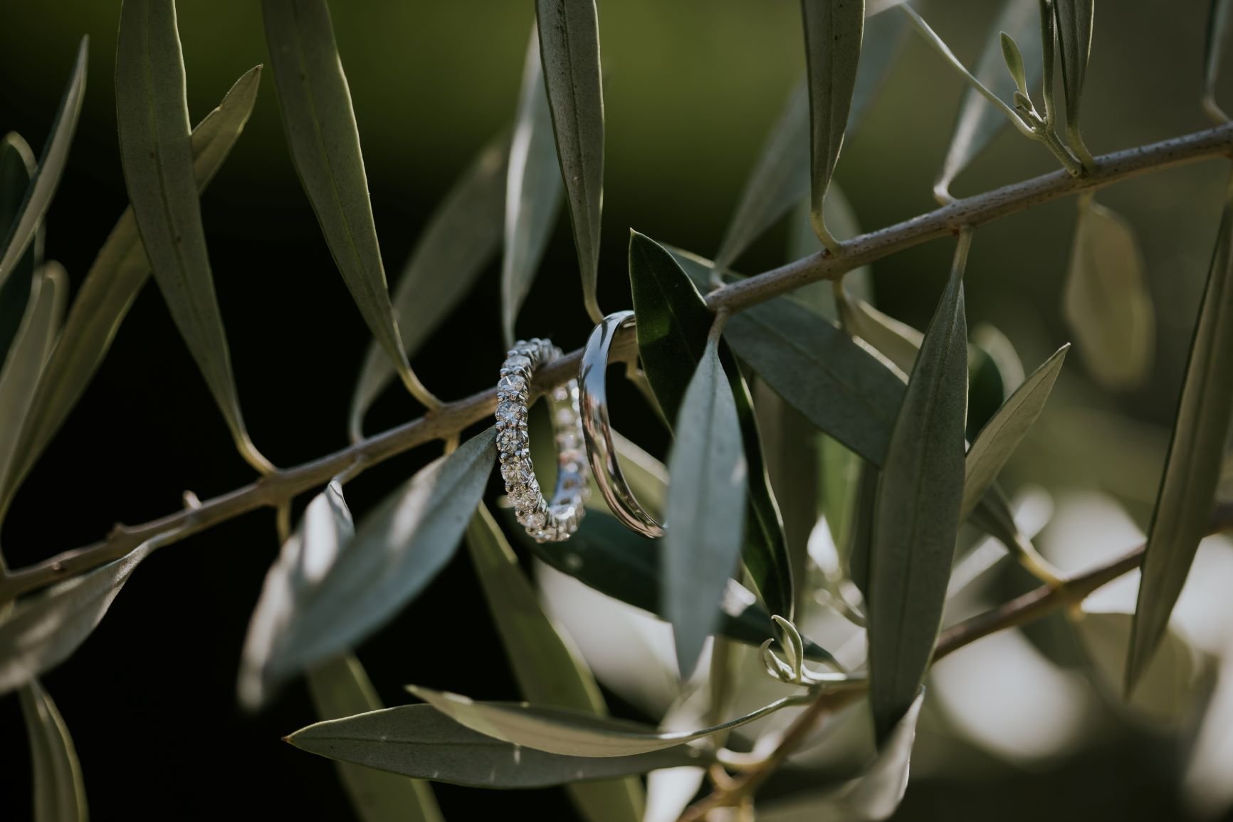 Should I go for a Diamond set Wedding Band, or a Plain Band?